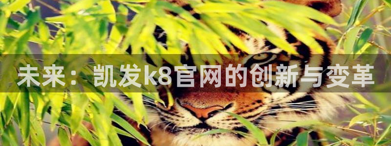 彩神体育2：未来：凯发k8官网的创新与变革