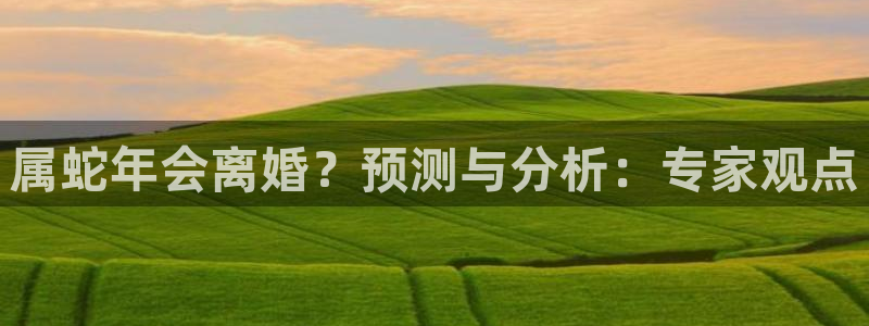 福建彩神机电股份公司：属蛇年会离婚？预测与分析：专家观点