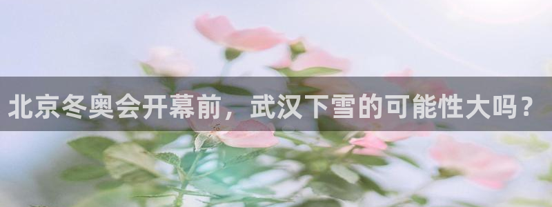 彩神体育老板是谁：北京冬奥会开幕前，武汉下雪的可能性大吗？