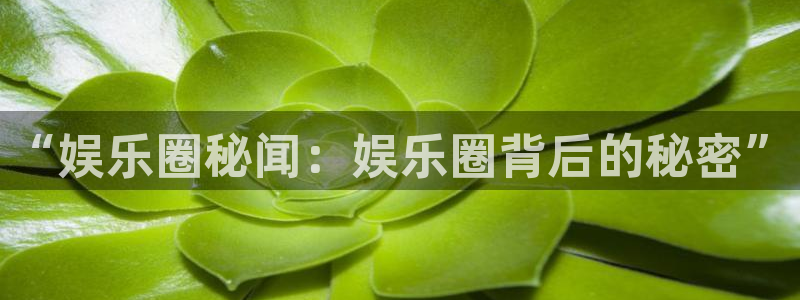 彩神登录注册：“娱乐圈秘闻：娱乐圈背后的秘密”