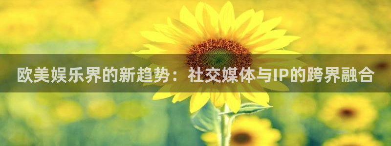 彩神平台官网：欧美娱乐界的新趋势：社交媒体与IP的跨界融合