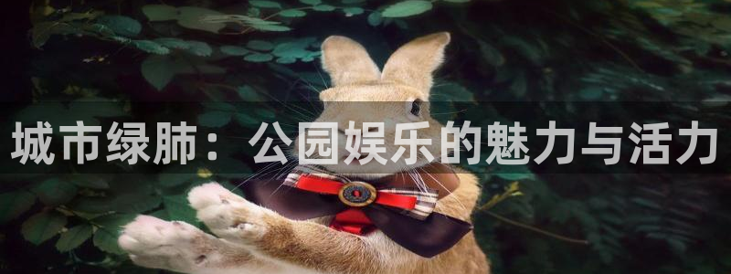 彩神平台：城市绿肺：公园娱乐的魅力与活力