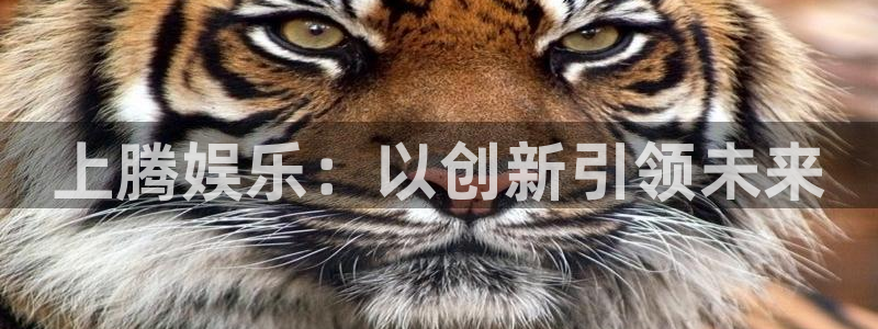 彩神登陆：上腾娱乐：以创新引领未来