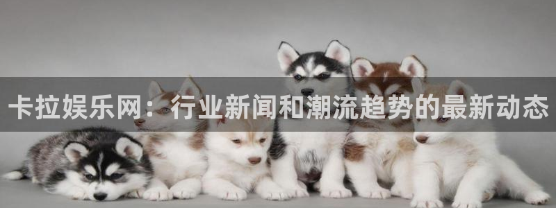彩神体育注册平台：卡拉娱乐网：行业新闻和潮流趋势的最新动态