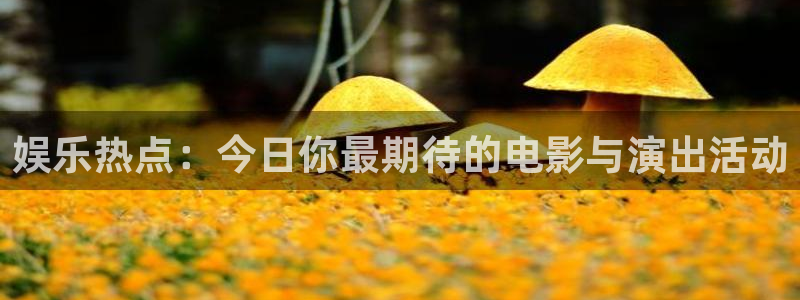 上海彩神汽车电子有限公司：娱乐热点：今日你最期待的电影与演出活动