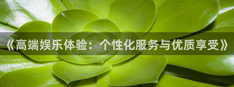 彩神2登录地址：《高端娱乐体验：个性化服务与优质享受》