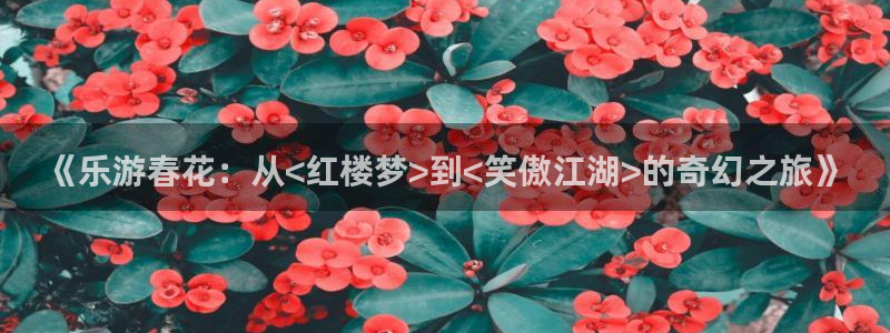 彩神2平台：《乐游春花：从<红楼梦>到<笑傲江湖>的奇幻之旅》