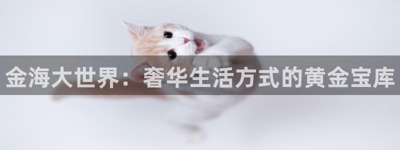 彩神4代理：金海大世界：奢华生活方式的黄金宝库