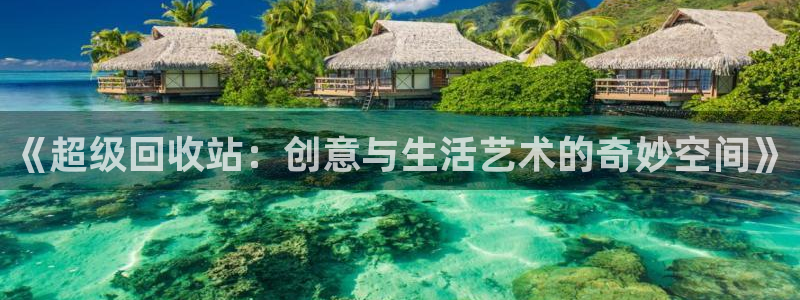 彩神f凯捷注册：《超级回收站：创意与生活艺术的奇妙空间》