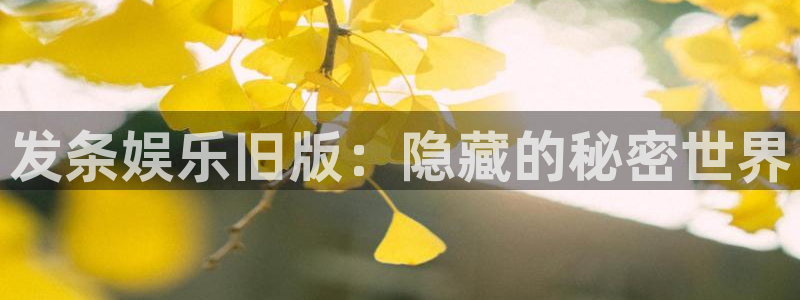 彩神集团：发条娱乐旧版：隐藏的秘密世界