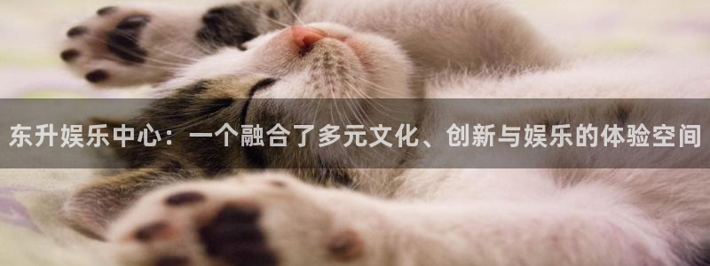 彩神体育平台注册：东升娱乐中心：一个融合了多元文化、创新与娱乐的体验空间