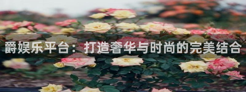 彩神平台：爵娱乐平台：打造奢华与时尚的完美结合