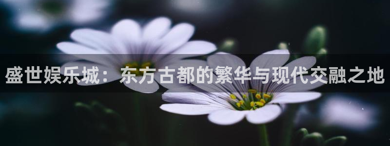 彩神2代理注册：盛世娱乐城：东方古都的繁华与现代交融之地