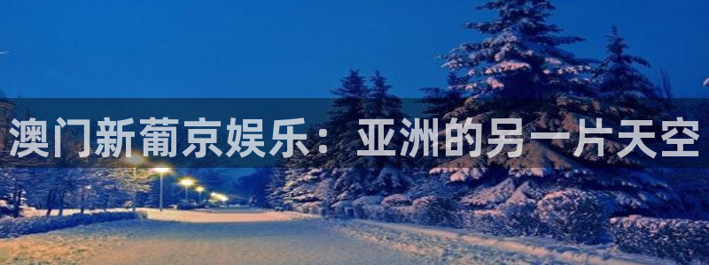 彩神体育注册代理：澳门新葡京娱乐：亚洲的另一片天空