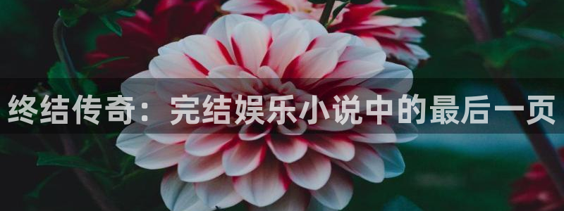 彩神集团官网：终结传奇：完结娱乐小说中的最后一页
