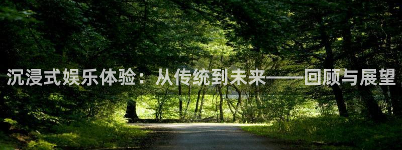 彩神招商：沉浸式娱乐体验：从传统到未来——回顾与展望