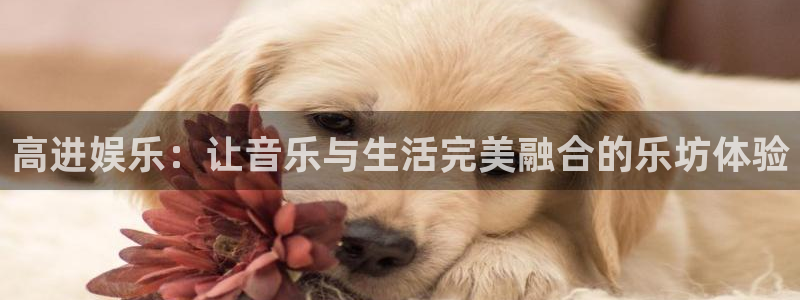 彩神平台官网：高进娱乐：让音乐与生活完美融合的乐坊体验